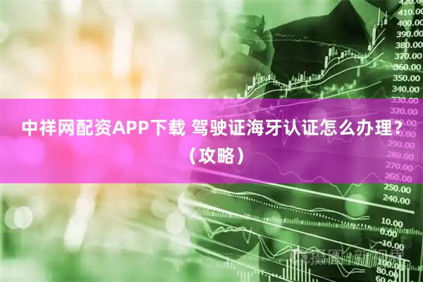 中祥网配资APP下载 驾驶证海牙认证怎么办理?(攻略)