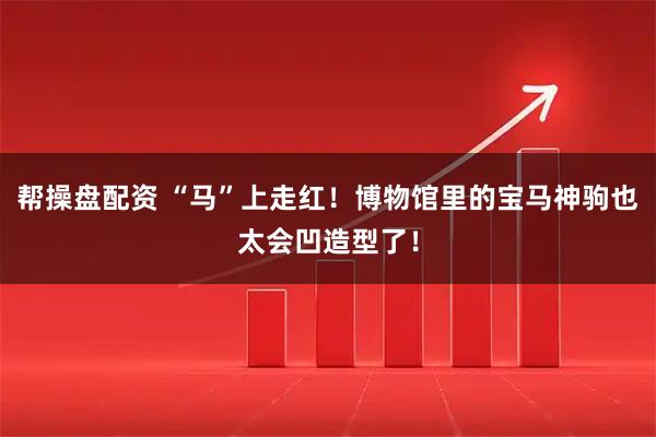 帮操盘配资 “马”上走红！博物馆里的宝马神驹也太会凹造型了！